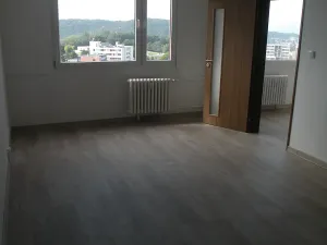 Pronájem bytu 2+1, Ústí nad Labem, Ladova, 62 m2