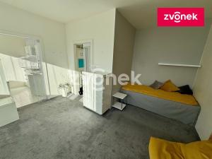 Prodej bytu 1+1, Zlín, Česká, 33 m2