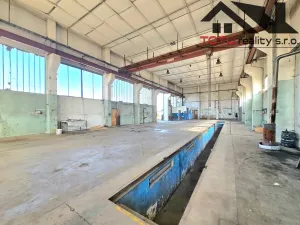 Pronájem výrobních prostor, Černožice, K čáslavkám, 3000 m2