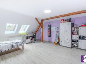 Prodej rodinného domu, Veselí nad Lužnicí, Na Potoce, 220 m2