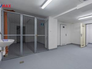 Pronájem bytu 2+kk, Litvínov - Horní Litvínov, Ladova, 59 m2