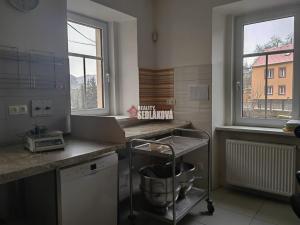 Pronájem výrobních prostor, Děčín - Děčín IV-Podmokly, Pivovarská, 95 m2