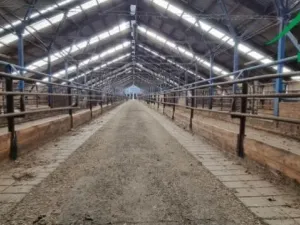 Prodej zemědělského objektu, Dlouhý Újezd, 10000 m2