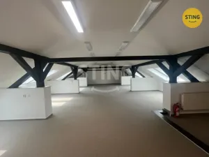 Pronájem kanceláře, Ostrava, Nemocniční, 280 m2