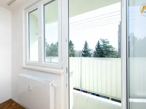 Pronájem bytu 2+1, Písek - Budějovické Předměstí, Dr. M. Horákové, 53 m2