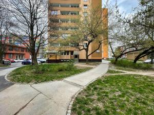 Pronájem bytu 1+kk, Olomouc - Povel, Janského, 25 m2