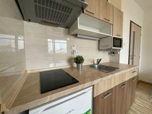 Pronájem bytu 1+kk, Olomouc - Povel, Janského, 25 m2