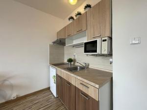 Pronájem bytu 1+kk, Olomouc - Povel, Janského, 25 m2