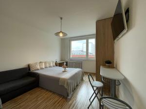 Pronájem bytu 1+kk, Olomouc - Povel, Janského, 25 m2