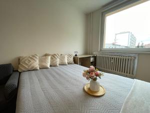 Pronájem bytu 1+kk, Olomouc - Povel, Janského, 25 m2