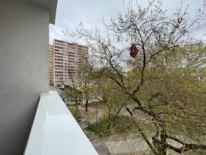 Pronájem bytu 1+kk, Olomouc - Povel, Janského, 25 m2