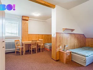 Prodej ubytování, Staré Město - Chrastice, 800 m2