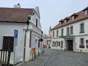 Pronájem obchodního prostoru, Český Krumlov - Vnitřní Město, Horní, 44 m2