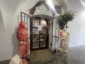 Pronájem obchodního prostoru, České Budějovice - České Budějovice 1, Krajinská, 20 m2
