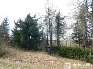 Prodej chaty, Moldava - Nové Město, 50 m2