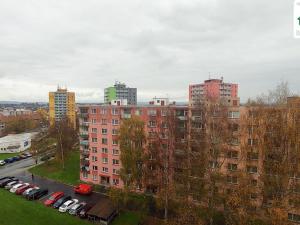 Prodej bytu 1+1, Cheb, Palackého, 35 m2