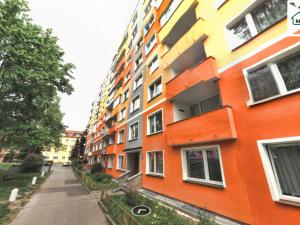 Prodej bytu 1+1, Cheb, Palackého, 35 m2