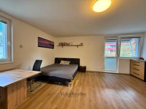 Pronájem bytu 1+kk, Olomouc, Černá cesta, 47 m2
