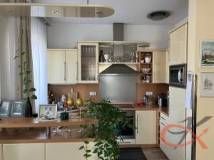 Prodej rodinného domu, Němčice nad Hanou, Novosady, 200 m2