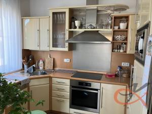 Prodej rodinného domu, Němčice nad Hanou, Novosady, 200 m2