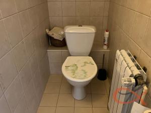 Prodej rodinného domu, Němčice nad Hanou, Novosady, 200 m2