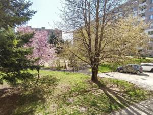 Pronájem bytu 1+1, Vyškov, Sídliště Osvobození, 31 m2