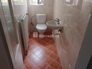 Pronájem bytu 1+1, Benešov nad Ploučnicí, Děčínská, 53 m2