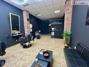 Pronájem obchodního prostoru, Kolín - Kolín II, Pražská, 46 m2