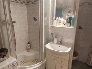Prodej bytu 1+1, Cheb, Lesní, 37 m2