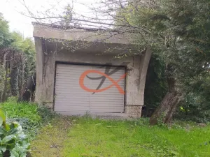 Prodej rodinného domu, Vigantice, 250 m2