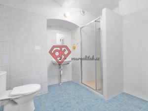 Prodej ubytování, Orličky, 440 m2