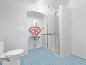 Prodej ubytování, Orličky, 440 m2