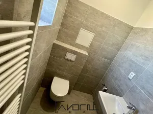 Pronájem bytu 1+kk, Jistebník, 30 m2