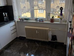 Prodej bytu 3+1, Jihlava, Erbenova, 73 m2