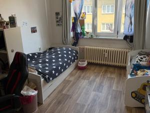 Prodej bytu 3+1, Jihlava, Erbenova, 73 m2