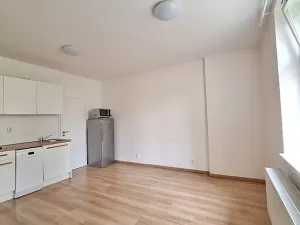 Pronájem bytu 1+kk, Praha - Bubeneč, U zeměpisného ústavu, 26 m2