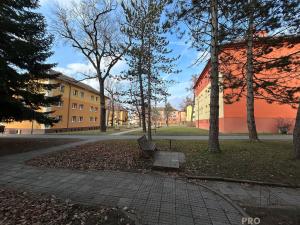 Pronájem bytu 2+1, Hodonín, Křičkova, 55 m2