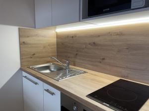 Pronájem bytu 1+kk, Ostrava - Přívoz, Palackého, 27 m2