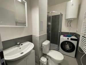 Pronájem bytu 1+kk, Ostrava - Přívoz, Palackého, 27 m2