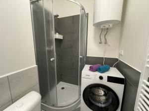 Pronájem bytu 1+kk, Ostrava - Přívoz, Palackého, 27 m2