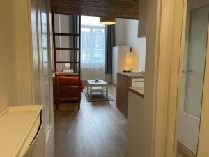 Pronájem bytu 1+kk, Ostrava - Přívoz, Palackého, 27 m2