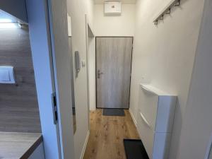 Pronájem bytu 1+kk, Ostrava - Přívoz, Palackého, 27 m2