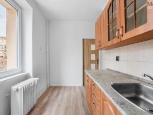 Pronájem bytu 2+1, Most, Maxe Švabinského, 54 m2