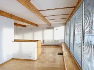 Pronájem bytu 4+kk, Praha - Vokovice, Irská, 153 m2