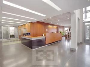 Pronájem bytu 4+kk, Praha - Vokovice, Irská, 153 m2