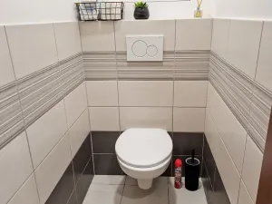 Pronájem bytu 1+kk, Olomouc, Tovární, 33 m2