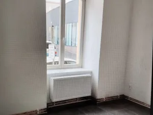 Pronájem bytu 3+kk, Prostějov, 55 m2