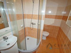 Pronájem bytu 2+kk, Liberec, Na Perštýně, 37 m2