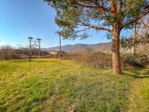 Prodej pozemku pro bydlení, Velké Březno - Valtířov, 1329 m2