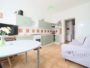 Prodej bytu 3+1, České Budějovice - České Budějovice 3, Riegrova, 101 m2